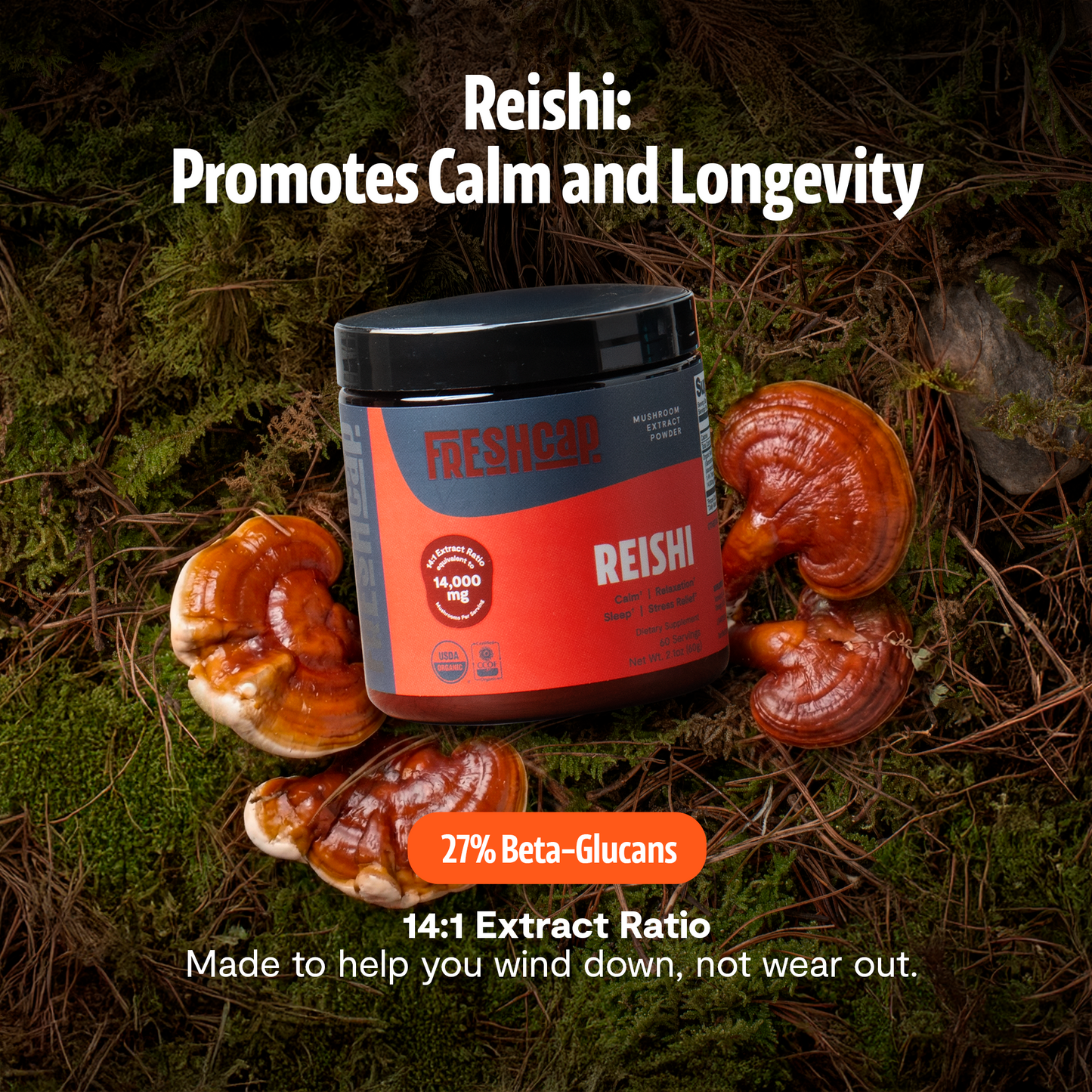 Organic Reishi Mushroom Powder