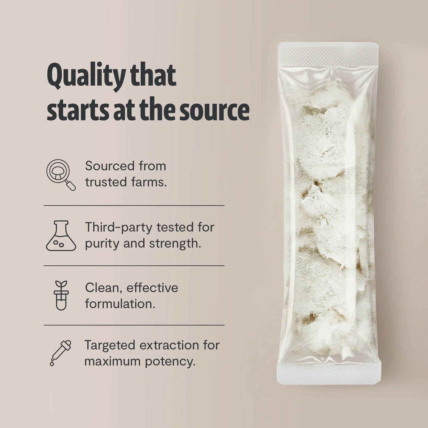 Organic Lion’s Mane Mushroom Powder