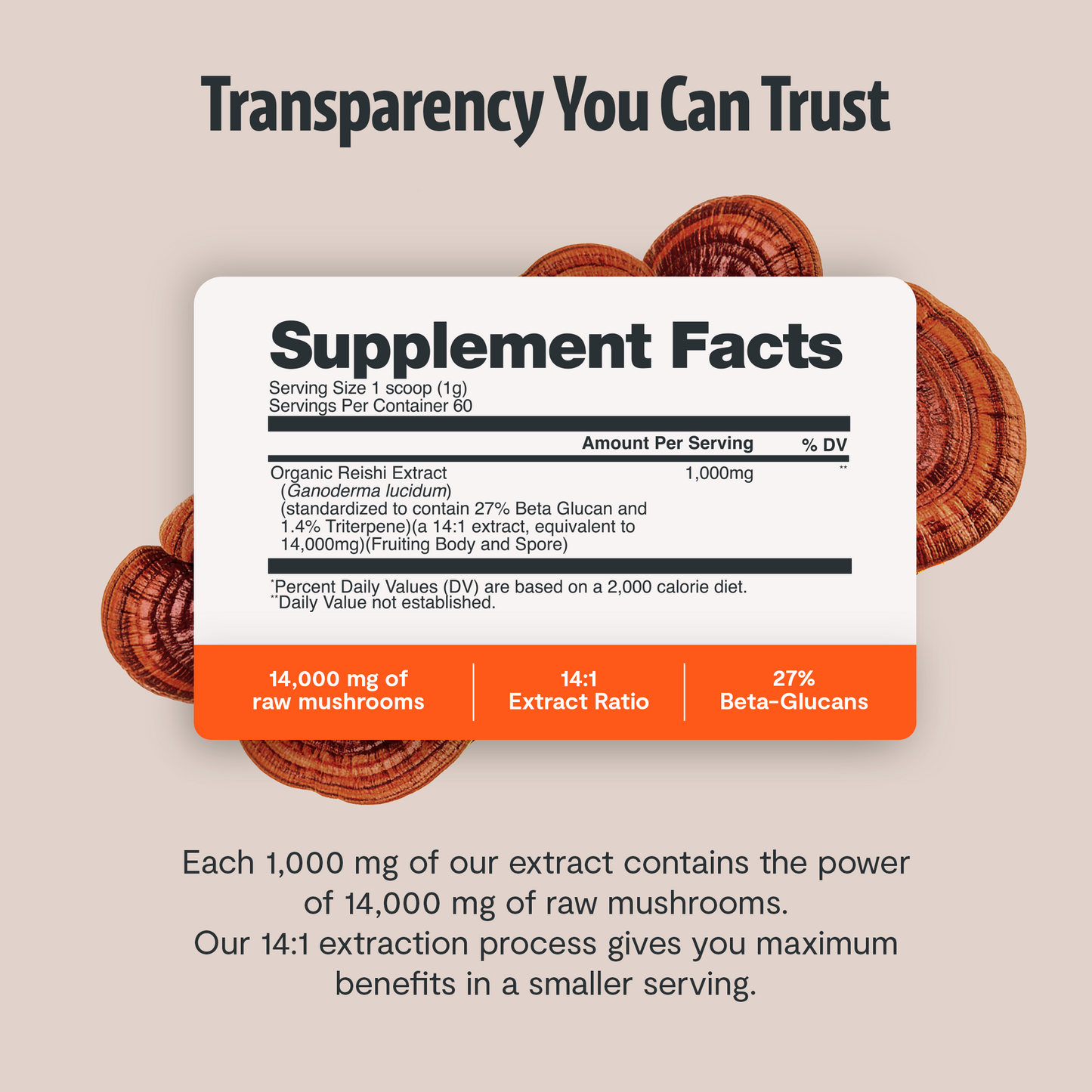Organic Reishi Mushroom Powder