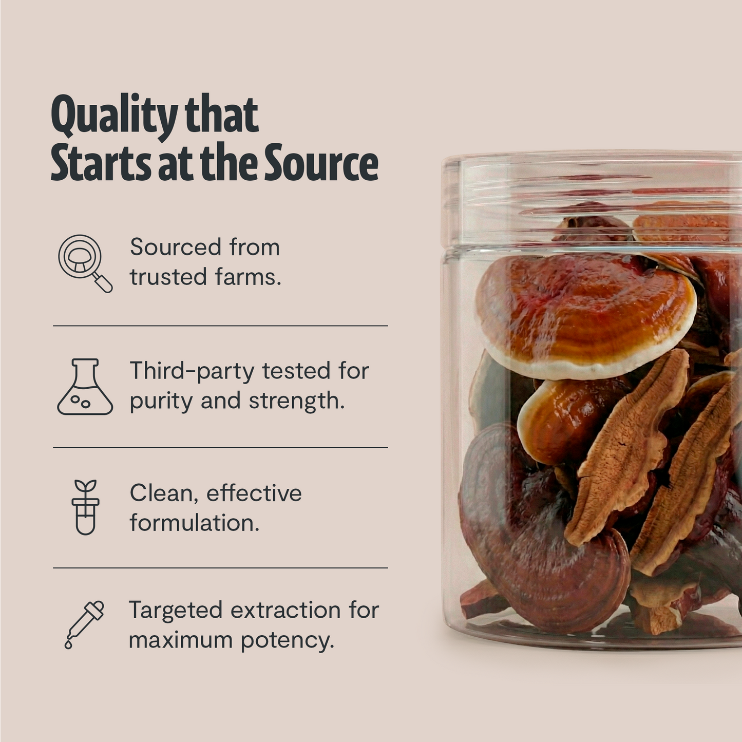 Organic Reishi Mushroom Powder