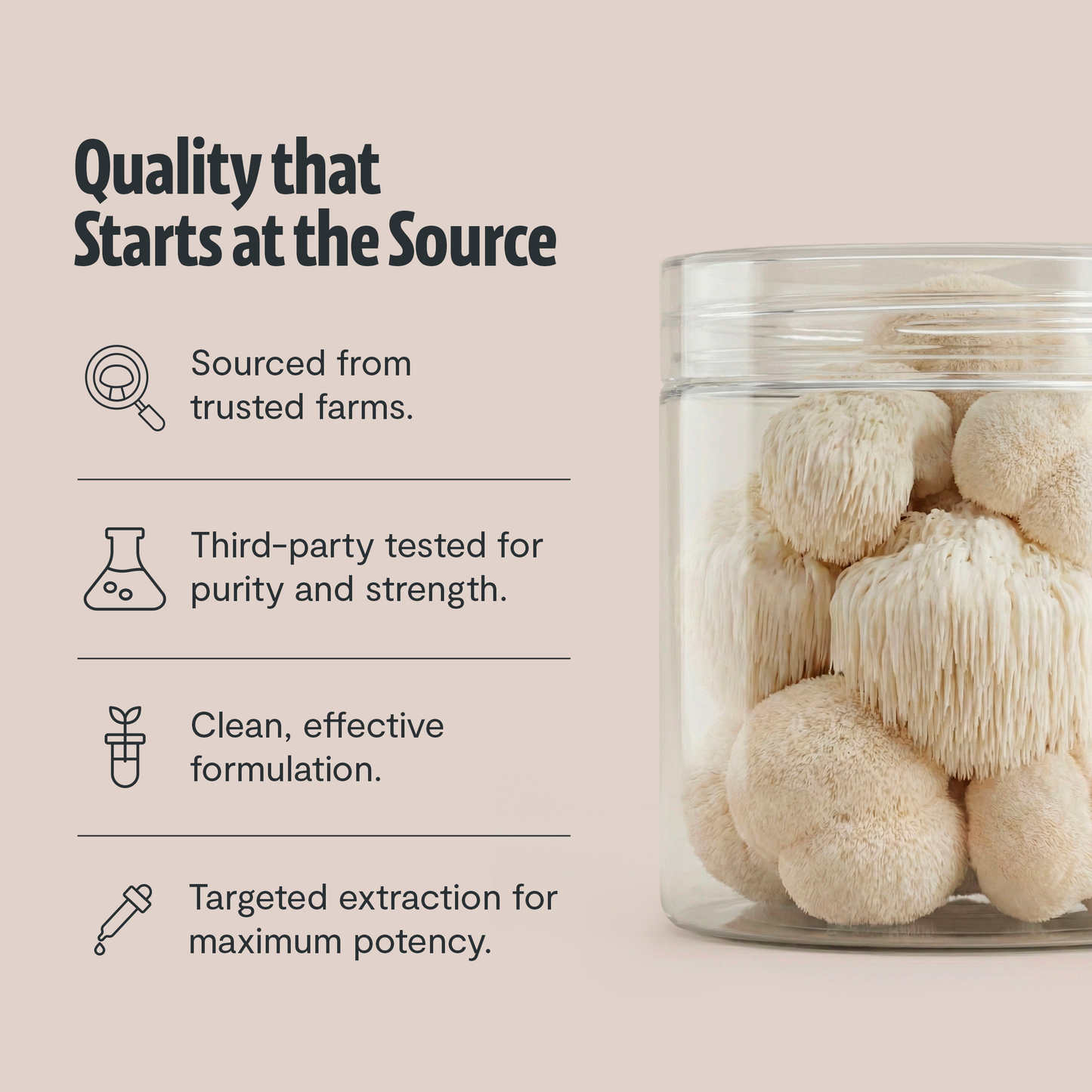 Organic Lion’s Mane Mushroom Powder