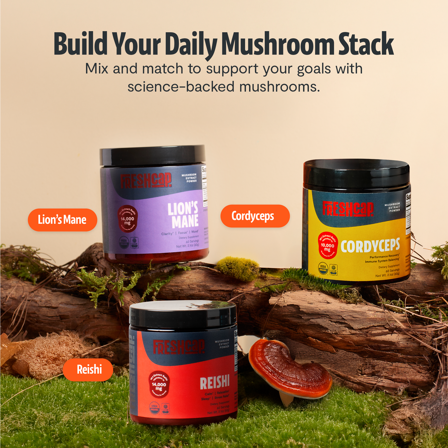 Organic Reishi Mushroom Powder